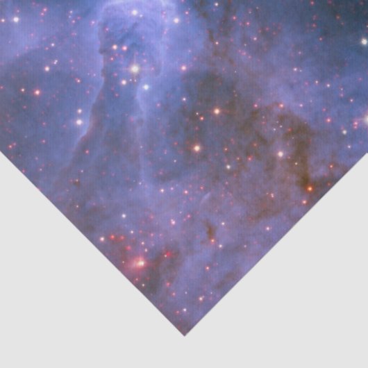 Open Star Cluster NGC 3603 薄葉紙 (詳細)