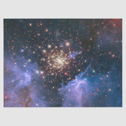 Open Star Cluster NGC 3603 薄葉紙 (正面)