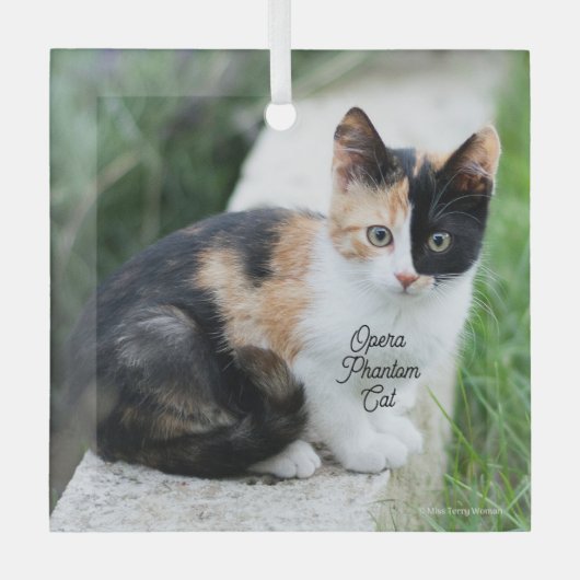 Opera Phantom Cat ガラスオーナメント (正面)