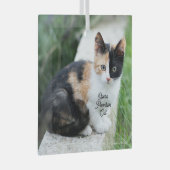 Opera Phantom Cat ガラスオーナメント (正面右)