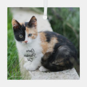 Opera Phantom Cat ガラスオーナメント (裏面)