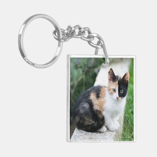 Opera Phantom Cat キーホルダー (正面左)