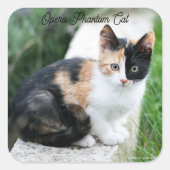 Opera Phantom Cat スクエアシール (正面)