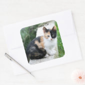 Opera Phantom Cat スクエアシール (封筒)