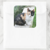 Opera Phantom Cat スクエアシール (バッグ)