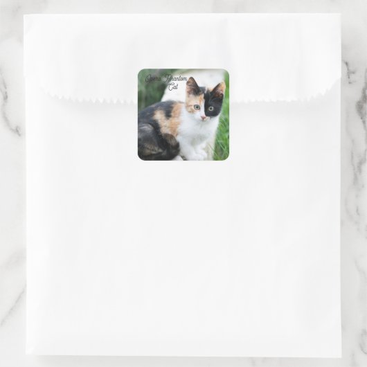 Opera Phantom Cat スクエアシール (バッグ)