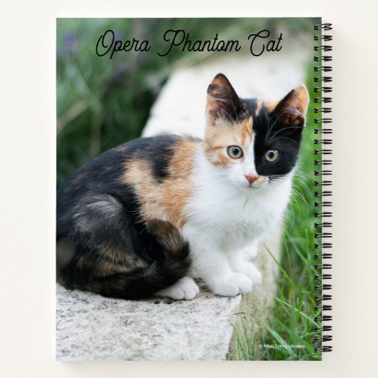 Opera Phantom Cat ノートブック (裏面)