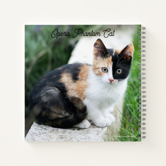 Opera Phantom Cat ノートブック (裏面)