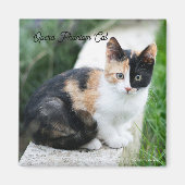 Opera Phantom Cat マグネット (正面)