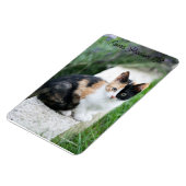 Opera Phantom Cat マグネット (左側)