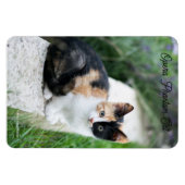 Opera Phantom Cat マグネット (横)