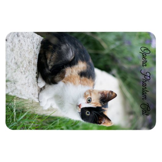 Opera Phantom Cat マグネット (横)