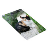 Opera Phantom Cat マグネット (右側)