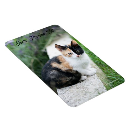 Opera Phantom Cat マグネット (右側)
