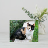 Opera Phantom Cat 箔シーズンポストカード (立ち正面)