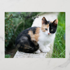 Opera Phantom Cat 箔シーズンポストカード