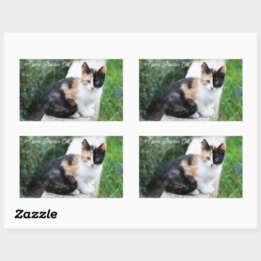 Opera Phantom Cat 長方形シール (シート)