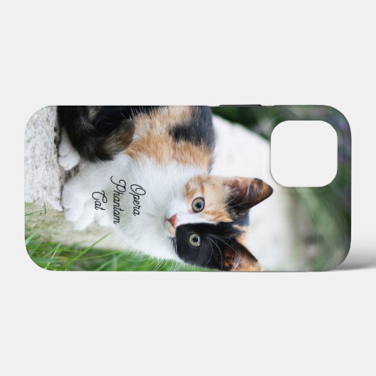 Opera Phantom Cat Case-Mate iPhoneケース (裏面 (横))