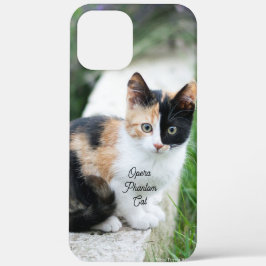 Opera Phantom Cat iPhone 12 Pro Max ケース