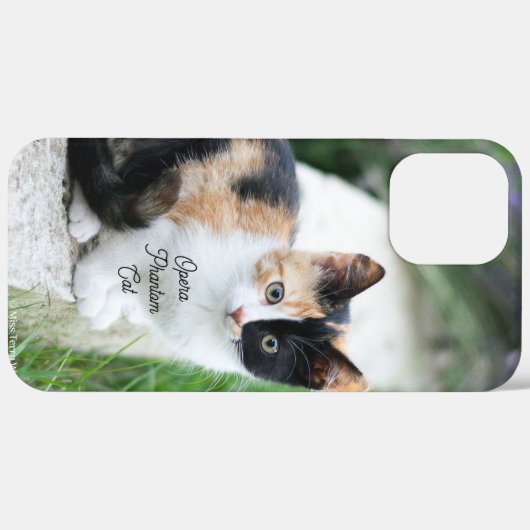 Opera Phantom Cat Case-Mate iPhoneケース (裏面 (横))