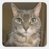 Opheliaステッカー スクエアシール (正面)