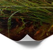 Ophelia by John William Waterhouse ポスター (角)