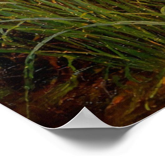 Ophelia by John William Waterhouse ポスター (角)