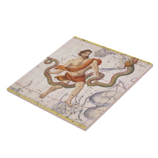 OphiucusおよびSerpensの星座は、22のfrをめっきします タイル (側面)