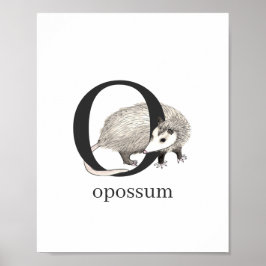 Opossumポスター用O ポスター