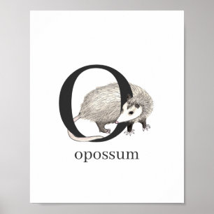 Opossumポスター用O ポスター