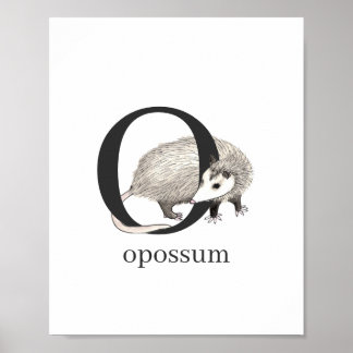 Opossumポスター用O ポスター