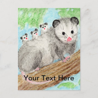 Opossumママ葉書 ポストカード