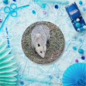 Opossum写真 ペーパープレート (パーティー)