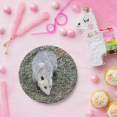 Opossum写真 ペーパープレート (パーティー)