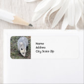 Opossum写真 ラベル (インサイチュ)