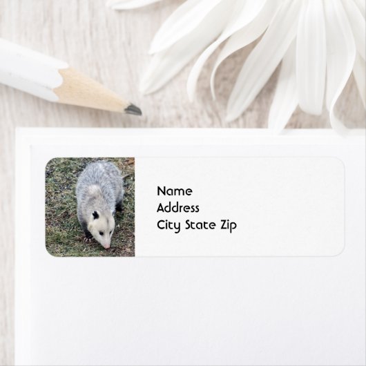 Opossum写真 ラベル (インサイチュ)