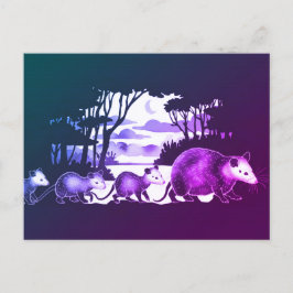 Opossum家族の森の清算はがき ポストカード