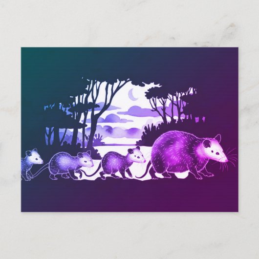 Opossum家族の森の清算はがき ポストカード (正面)