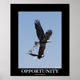 Opportunity Bald Eagles Motivational Photo Poster ポスター