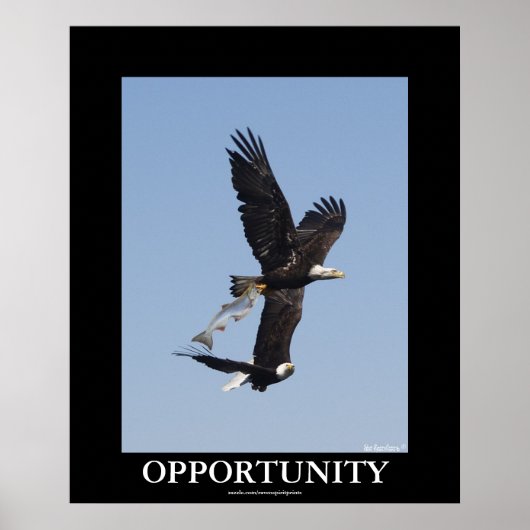Opportunity Bald Eagles Motivational Photo Poster ポスター (正面)