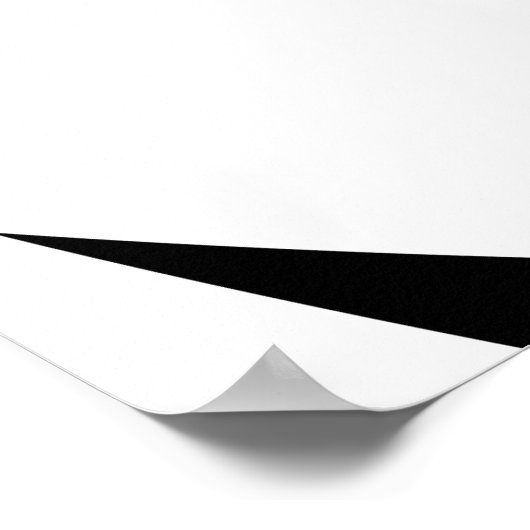 Opposing Log Spirals Converge 2/4/26 var 1 ポスター (角)