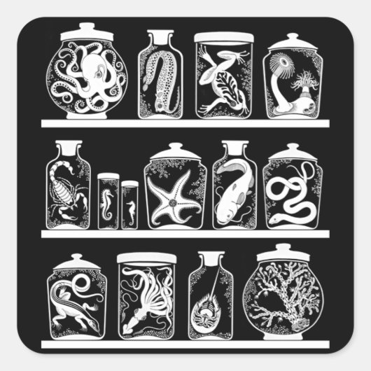 OPUS好奇心キャビネット スクエアシール (正面)