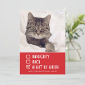 OR いけな Nice OR Both Pet おもしろい Holiday Photo シーズンカード (スタンド正面)