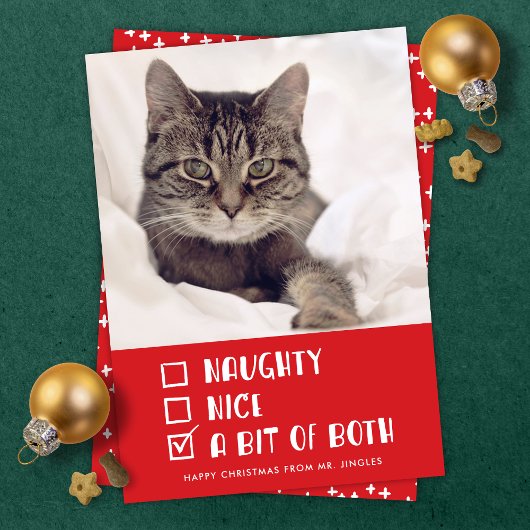 OR いけな Nice OR Both Pet おもしろい Holiday Photo シーズンカード