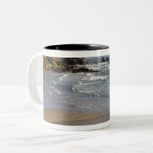 OR,オレゴンコースト,エコラ州パーク,インディアン ツートーンマグカップ (正面左)