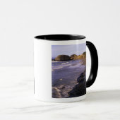 OR、オレゴンコースト、ニューポート、シールの海岸線 マグカップ (正面右)