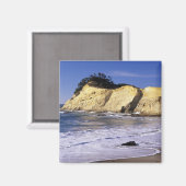 OR、オレゴン海岸、キワンダ岬SP、ケープ2 マグネット (正面/裏面)