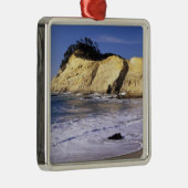 OR、オレゴン海岸、キワンダ岬SP、ケープ2 メタルオーナメント (右)