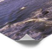 OR、オレゴン海岸、ニューポート、シールの海岸線 ポスター (角)