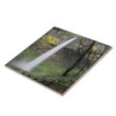 OR、コロンビアリバー峡谷、ロワ滝、マッコード タイル (側面)